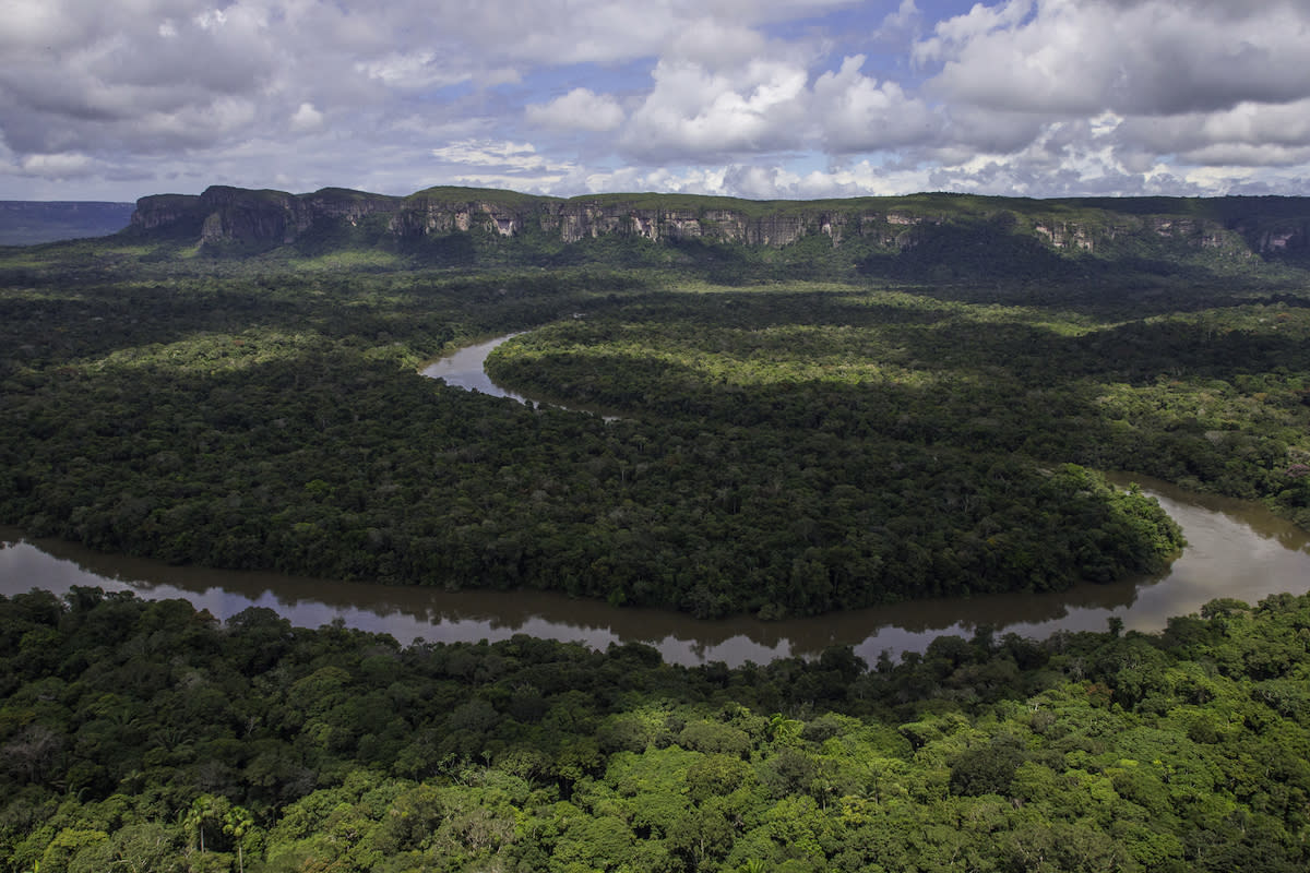 The Colombian Amazon. Ministry of Environment and Sustainable Development