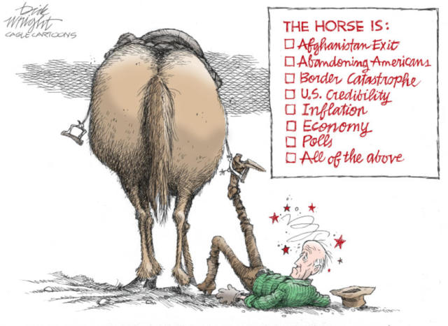 5 scathingly funny cartoons about Biden's recent stumbles