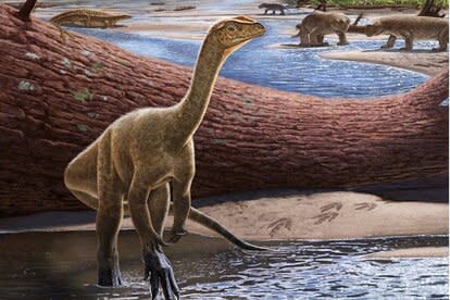 Mberisaurus Reconstruction