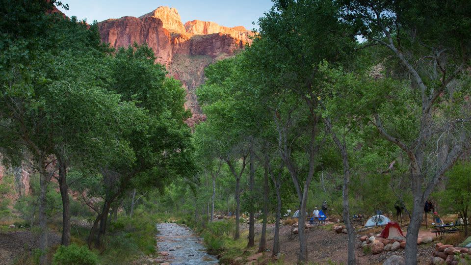 The Bright Angel campground is located next to a creek at the end of the South Kaibab Trail in Grand Canyon National Park. - Niebrugge Images/Alamy Stock Photo