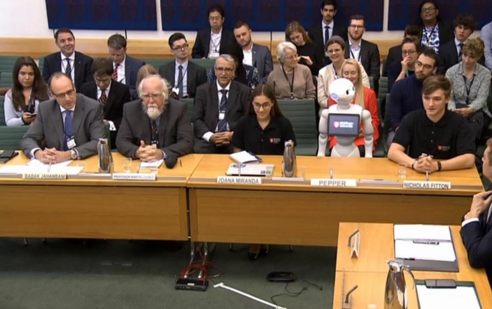 Pepper the robot gives evidence in Parliament on artificial intelligence