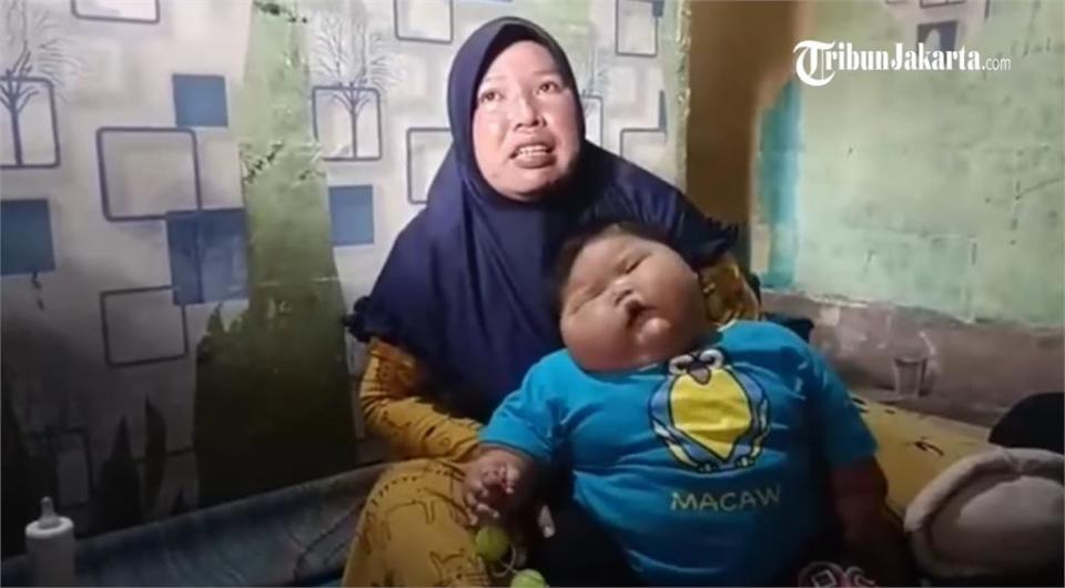 出生16個月已經27公斤！印尼巨嬰尿布穿「3XL」驚人照曝光