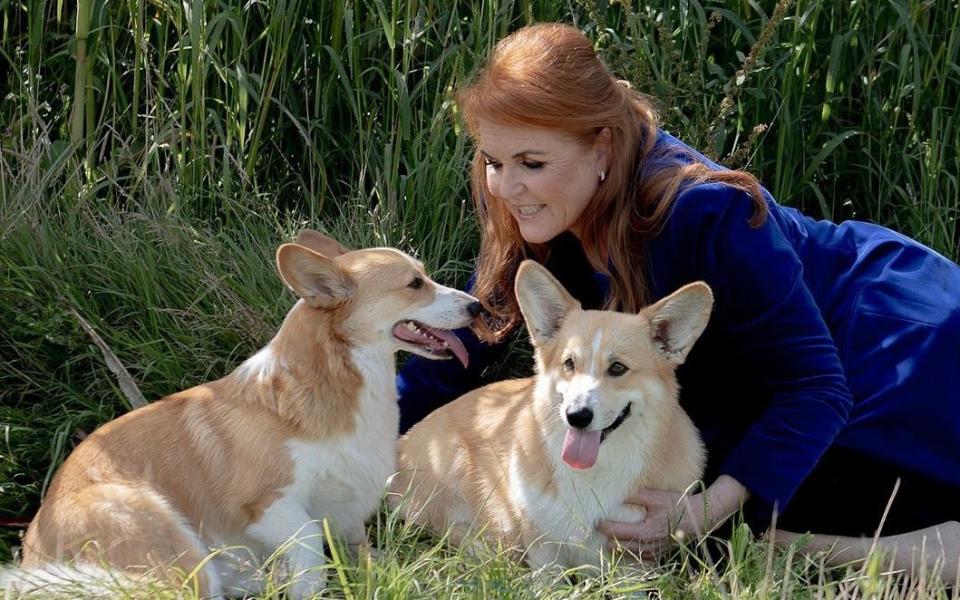 Sarah Ferguson posts tribute to the Queen on Instagram with Corgis