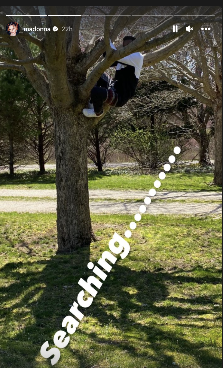 A young person scales a tree. Text on the photo reads: 