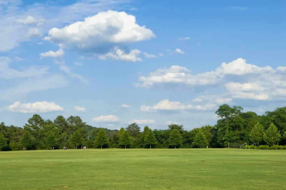 Carpenter Park Fields via Getty Images