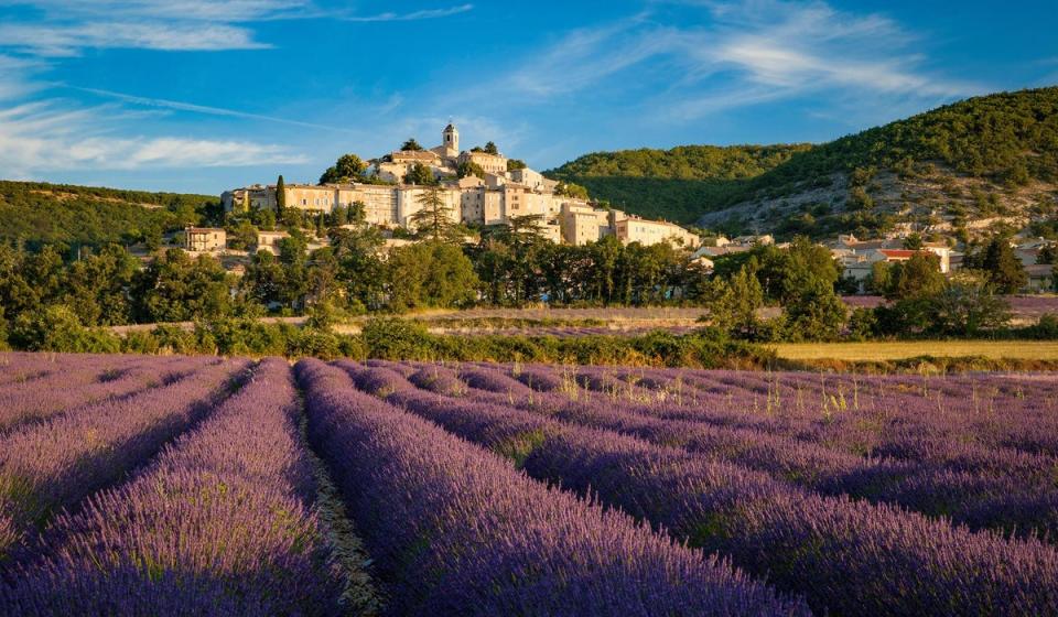 Lavender in the Luberon: the medieval hilltop town of Banon, Alpes-de-Haute-Provence (Alamy)