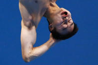 China's Qin Kai performs a dive during the men's 3m springboard final at the London 2012 Olympic Games at the Aquatics Centre August 7, 2012. REUTERS/Michael Dalder (BRITAIN - Tags: SPORT DIVING OLYMPICS TPX IMAGES OF THE DAY) 