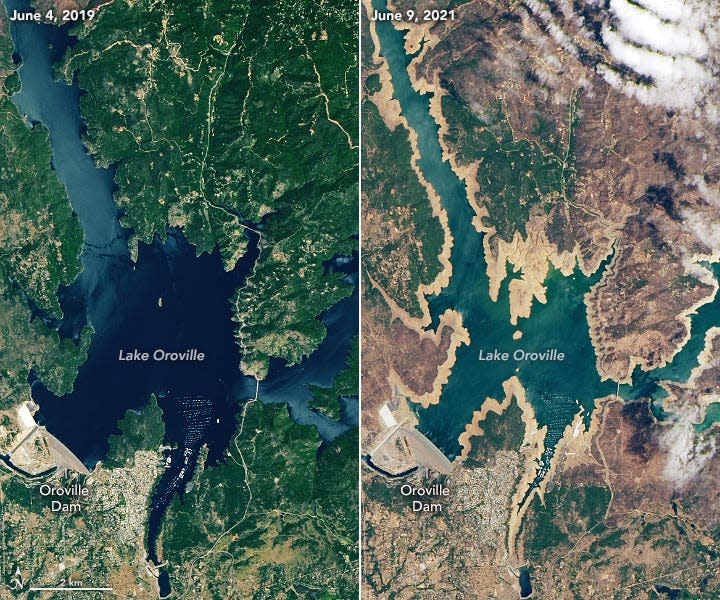 Images captured by the Operational Land Imager on Landsat 8 show California's Shasta Lake and Lake Oroville this year and in June 2019, during more typical conditions.