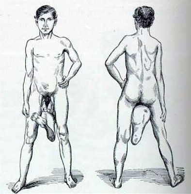 Dibujo de la anatomía de Juan Baptista dos Santos