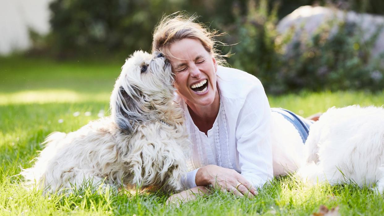  Funny dog jokes - woman lying down with dog laughing as dog licks her. 