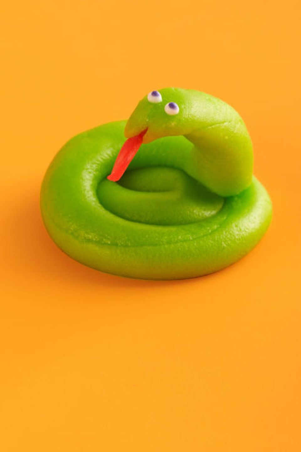 Friendly Snake