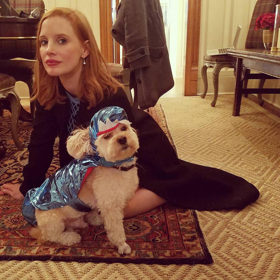 <p>The actress turned her favorite canine, three-legged dog Chaplin, into a superhero: “Halloween game faces.” (Photo: <a rel="nofollow noopener" href="https://www.instagram.com/p/BMH2z-wB0jJ/?taken-by=jessicachastain&hl=en" target="_blank" data-ylk="slk:Instagram;elm:context_link;itc:0;sec:content-canvas" class="link ">Instagram</a>) </p>