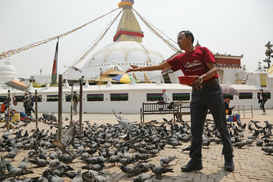 In this May 9, 2019 photo, Apa Sherpa feeds pigeons in Boudhanath Stupa in Kathmandu, Nepal. Apa Sherpa has stood on top of the world more times than all but one other person. Now he wants to make sure no one feels compelled to follow in his footsteps. (AP Photo/Niranjan Shrestha)