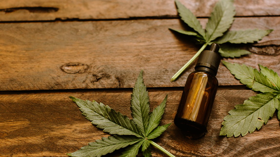 Does CBD Get You High? Understand the Difference between CBD and THC