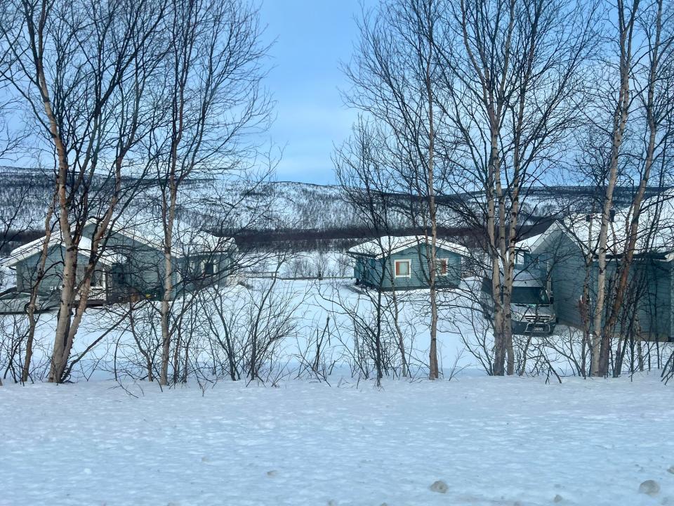 The blue cabins on Aurora Holidays' property with snow-covered ground and trees.