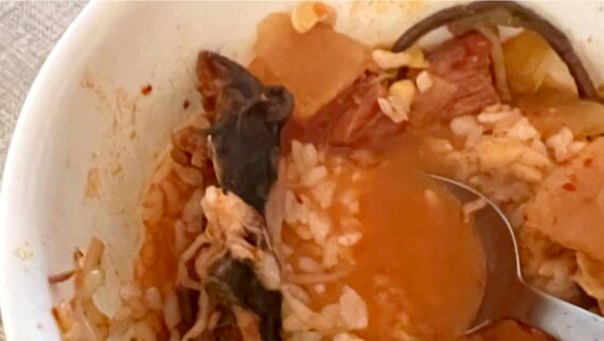 Image of the alleged rat in the plaintiffs soup order from the legal filing. (Eunice Lucero-Lee and Jason Lee)