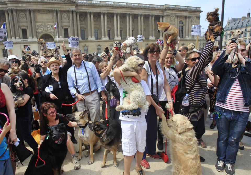 Dog owners gather behind the Louvre Museum in Paris prior to a march toward the Tuileries Gardens, Paris, Saturday June 8, 2013. At least 100 pooches with owners in tow, holding leashes marched near the Louvre at a demonstration to demand more park space and access to public transport for the four-legged friends. (AP Photo/Remy de la Mauviniere)