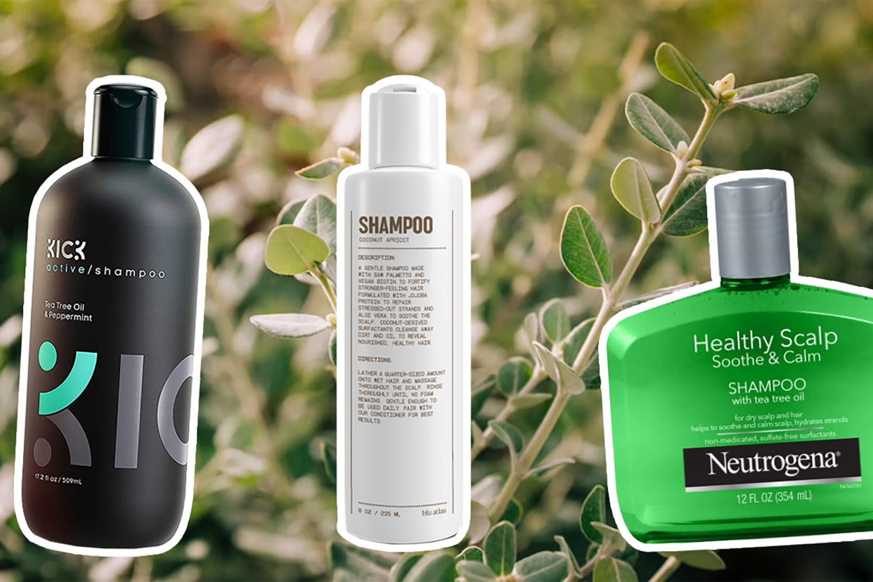 The 19 Best Men's Shampoos for Dry Scalp in 2023