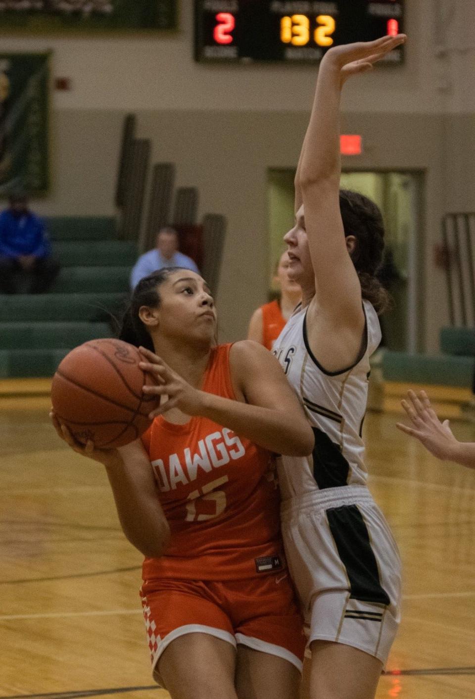 Jaeli Jones of Summerfield (left) is defended by St. Mary Catholic Central's Natalie LaPrad during a 47-26 SMCC victory Friday night.