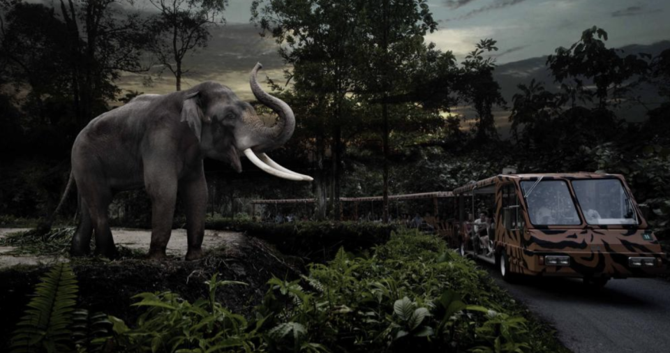 Singapore Night Safari has elephants and tram rides