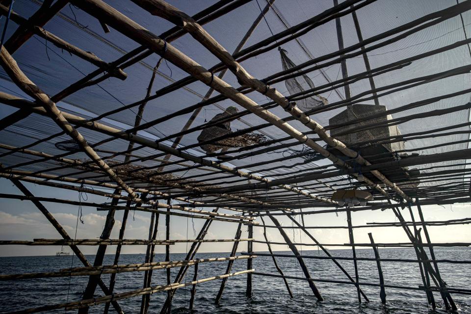 A fisherman works on a fishing platform in the waters off Tanah Kuning Village, near the site for the future development of the Kalimantan Industrial Park Indonesia in Bulungan, North Kalimantan, Indonesia, Thursday, Aug. 24, 2023. The industrial park being built in Indonesia on the tropical island of Borneo that has attracted billions of dollars in foreign and domestic investment is damaging the environment in an area where endangered species live and migrate. (AP Photo/Yusuf Wahil)