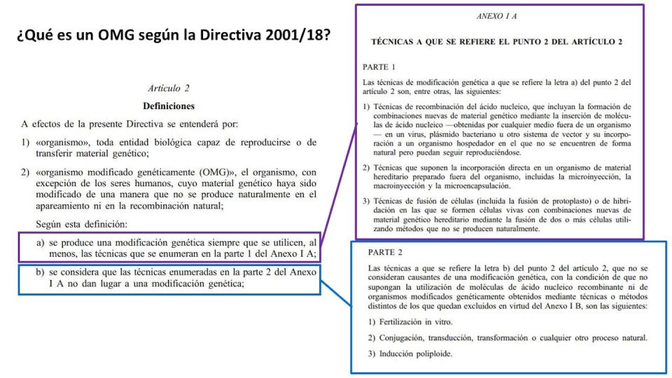 Definición de organismo modificado genéticamente (OMG) en la Directiva 2001/18. Author provided