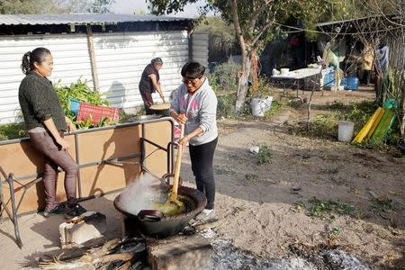 Monica Arroyo (C) prepares dinner at a community event in the village of Capula in Ixmiquilpan, Mexico December 9, 2016. REUTERS/Henry Romero