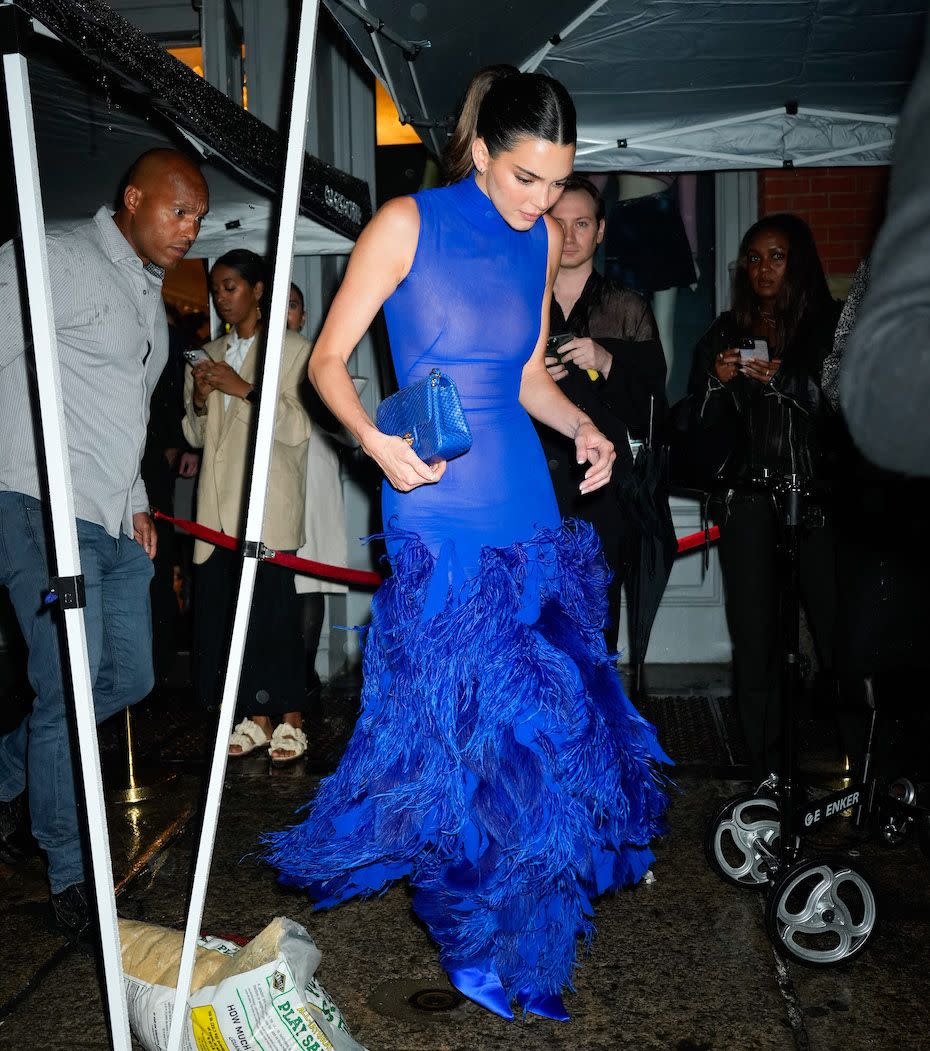 kendall jenner just wore a blue, sheer ball gown with feathers