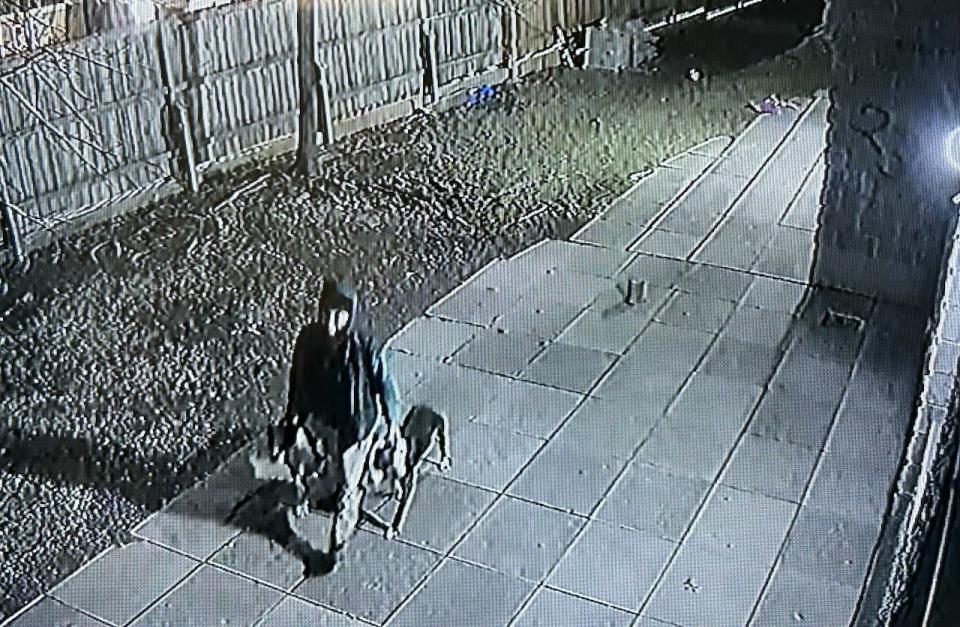 Toronto police released this security camera photo in an effort to track down the owner of two dogs after a woman was attacked in Rexdale earlier this week. (Toronto Police Service - image credit)