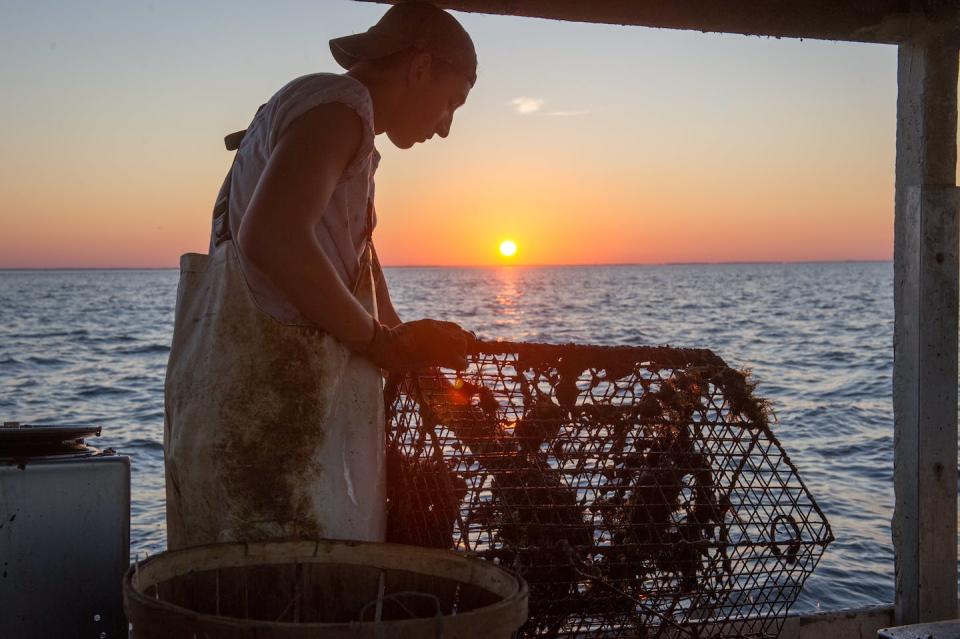 A young waterman pulls in a crab trap as the Sun sets behind him in Dundalk, Md. <a href="https://www.gettyimages.com/detail/news-photo/young-waterman-pulls-in-crab-trap-as-the-sun-rises-behind-news-photo/1141676388?adppopup=true" rel="nofollow noopener" target="_blank" data-ylk="slk:Edwin Remsberg/VW PICS/UIG via Getty Images;elm:context_link;itc:0;sec:content-canvas" class="link ">Edwin Remsberg/VW PICS/UIG via Getty Images</a>