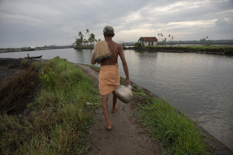 A fisherman sets out to fish in the morning in Kochi, Kerala state, India, Monday, June 1, 2020. (AP Photo/ R S Iyer)