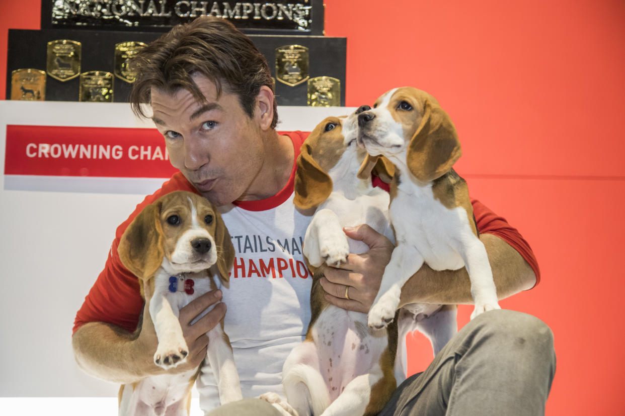 Jerry O’Connell is back as guest host of the AKC National Championship Dog Show Presented by Royal Canin on Jan. 1. (Photo: Jesus Aranguren for Michael Simon)