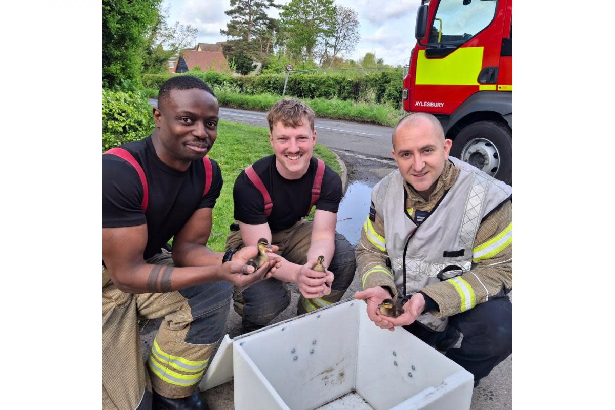 The firefighters pose with the rescued ducklings near Aylesbury <i>(Image: Bucks Fire & Rescue)</i>