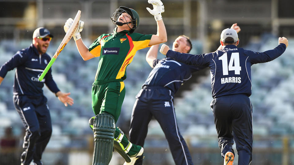 Victorian players, pictured here celebrating the final wicket.