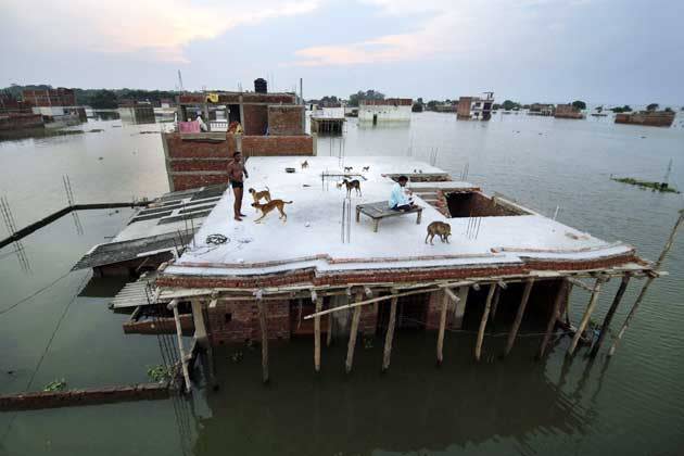 Opfer der Flutkatastrophe im indischen Allahabad kümmern sich um ihre geretteten Hunde. Heftige Monsun-Regenfälle ließen den Ganges über die Ufer treten. Tausende Menschen mussten ihre Häuser verlassen. (Bild: Rajesh Kumar Singh/AP)