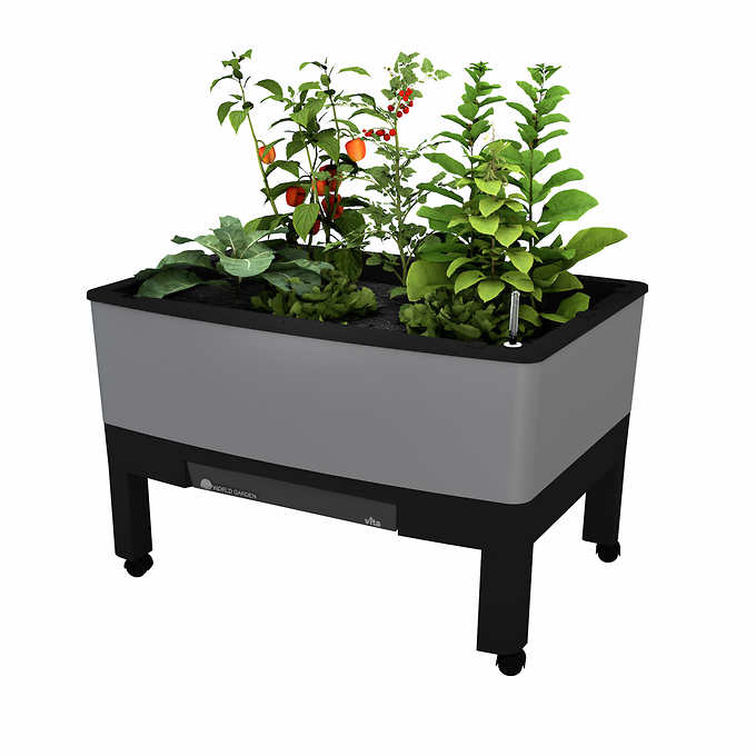 Costco self-watering flower raised garden bed. 