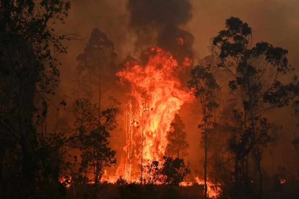 A fire rages through trees in bushland at Bobin, 350km north of Sydney.