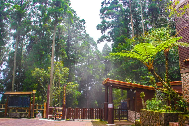 藤枝國家森林遊樂區入口。林務局提供