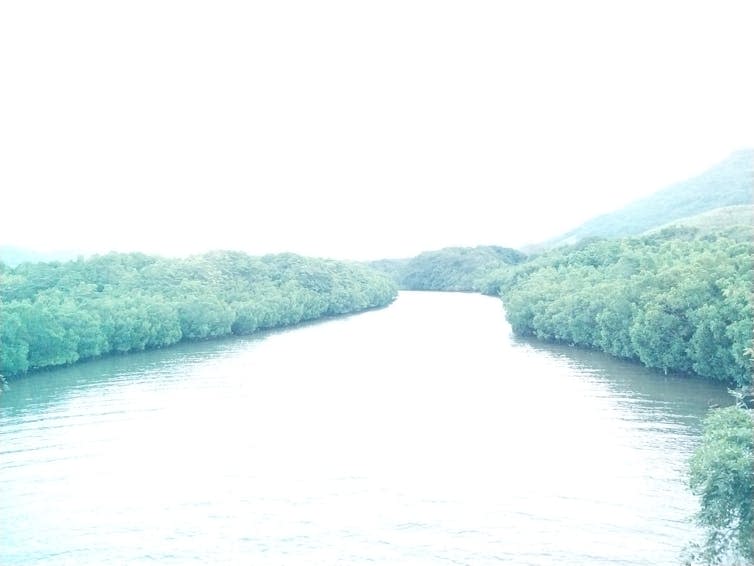 Large water channel through forest