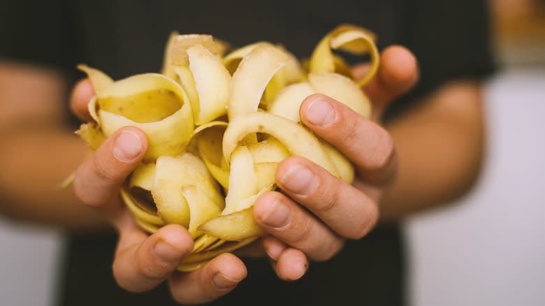 spiralized potato in a person's hands