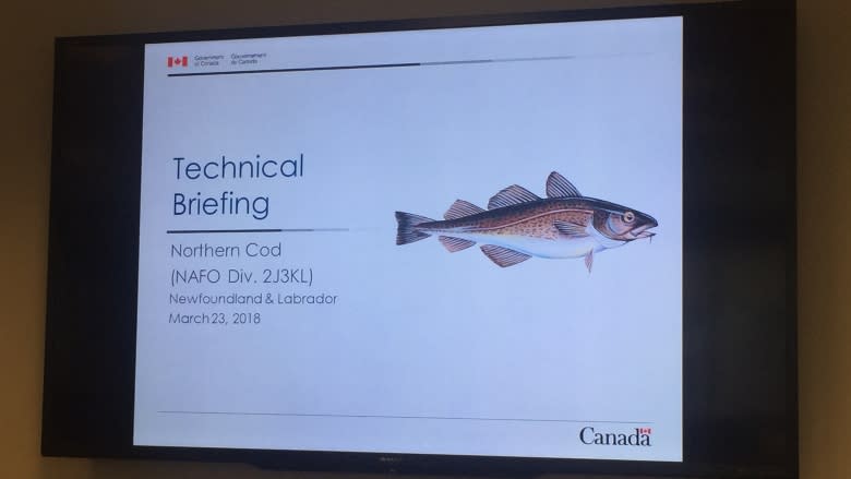 Northern cod stock down by 30%, still in 'critical zone'