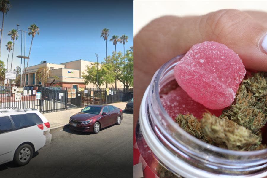 8 niños enfermos después de posible consumo de gomitas con marihuana en escuela de California