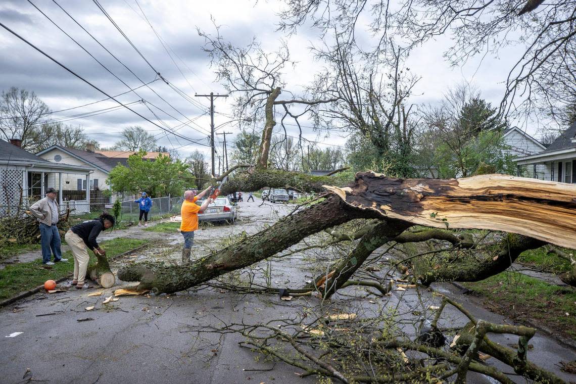 Terry Johns uses a chainsaw to cut a tree that fell on Bennett Avenue in Lexington, Ky., on Tuesday, April 2, 2024.