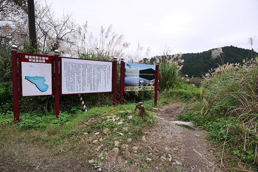 宜蘭雙連埤環湖步道