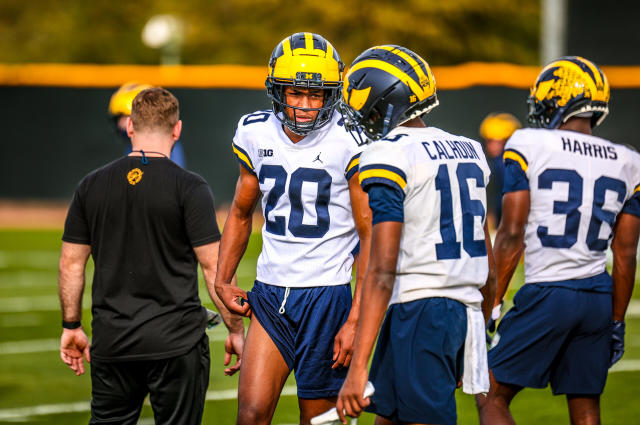 Which Michigan football freshman made 247Sports instant impact list?