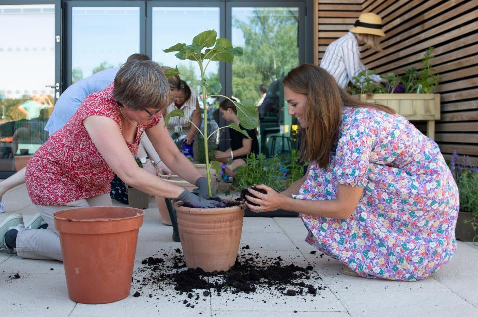 Britain's Catherine, Duchess of Cambridge, helps to pot plants during a visit to The Nook in the village of Framlingham Earl, south of Norwich, eastern England on June 25, 2020, which is one of the three East Anglia Children's Hospices (EACH). - The Duchess is the Royal Patron of the charity which offers care and support for children and young people with life-threatening conditions and their families across Cambridgeshire, Essex, Norfolk and Suffolk. The Duchess of Cambridge on June 25 joined families from East Anglias Childrens Hospices (EACH) to plant a garden using plants purchased during her June 18 visit to Fakenham garden centre. (Photo by Joe Giddens / POOL / AFP) (Photo by JOE GIDDENS/POOL/AFP via Getty Images)