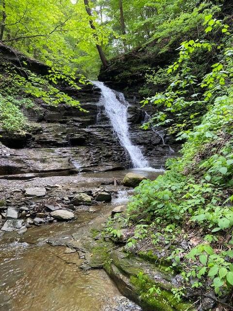 The privately owned Burning Springs in Bristol will be open to the public on four weekend afternoons, Saturday and Sunday, May 27 and 28, and Saturday and Sunday, June 3 and 4.