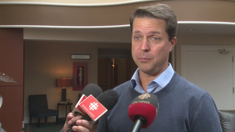 Newly elected PC leader Aylward promises smaller class sizes, lower tax rates