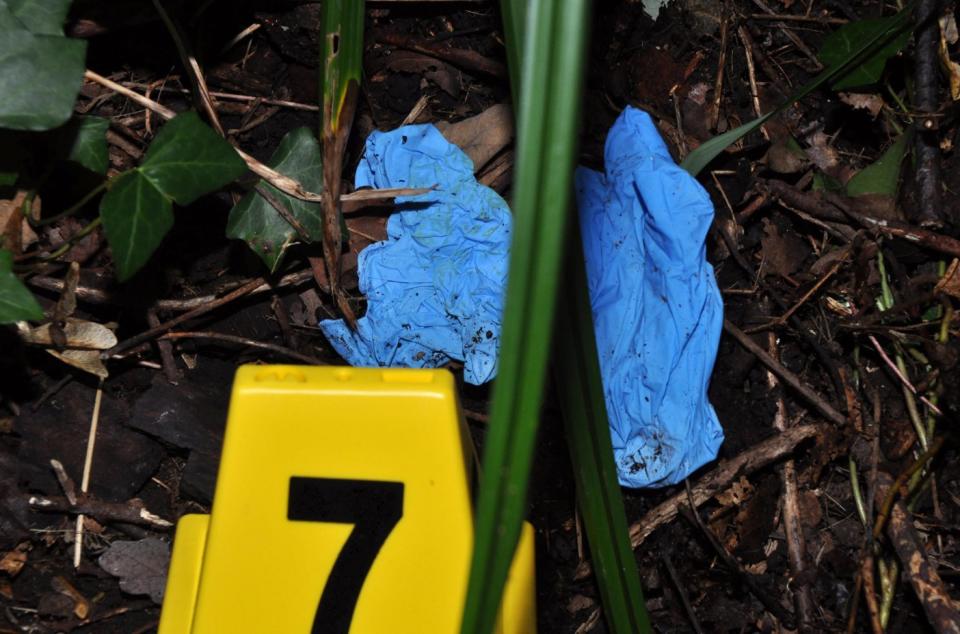 A pair of blue surgical gloves found at Tanner's Brook, Southampton, close to where Ms McHugh's body was found (HAMPSHIRE CONSTABULARY)