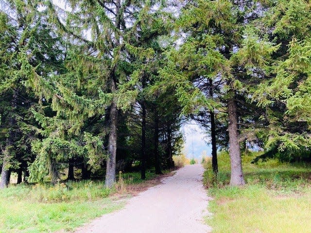 A trail along the Van der Brohe Arboretum